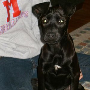 Meet your Posher, Mary